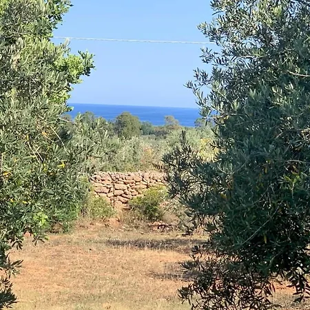 Osala